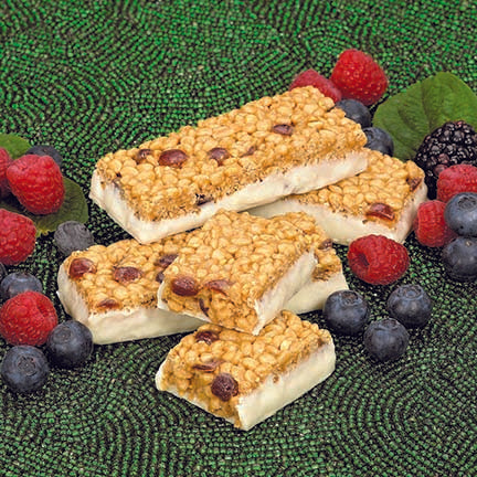 Double Berry Protein Bar