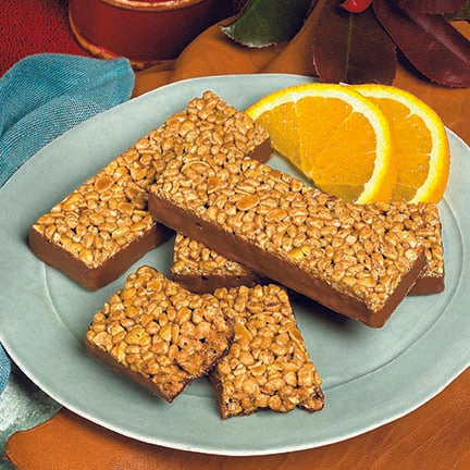 Fudge Graham Protein Bar